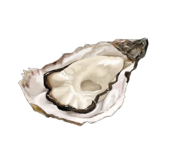 食べ物のイラスト描きます 今にも匂いがしてきそうなほど美味しそう！ イメージ1