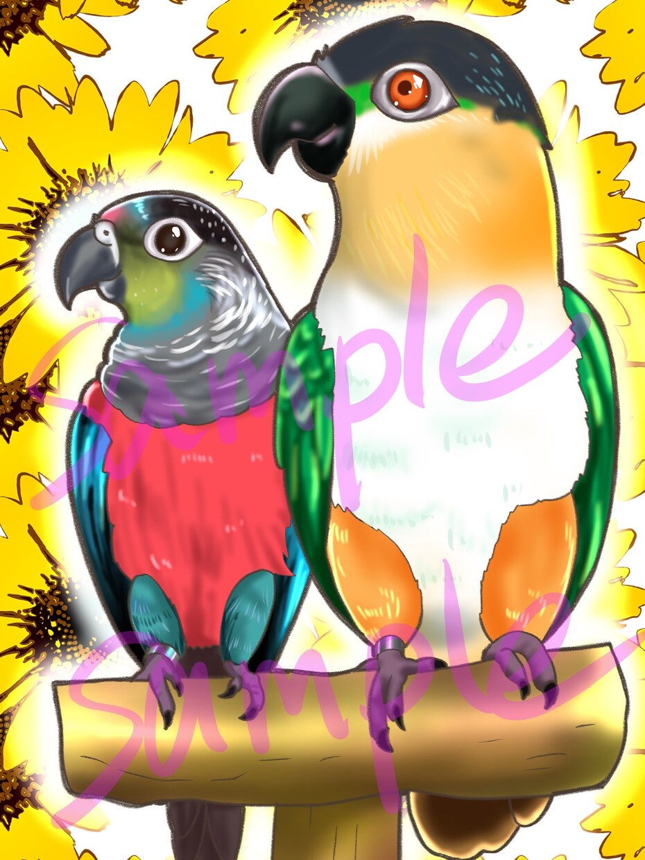 インコ大好きさん集まれ！特価でインコの絵描きます オカメインコ、セキセイインコ、文鳥…鳥なら何でも！ イメージ6