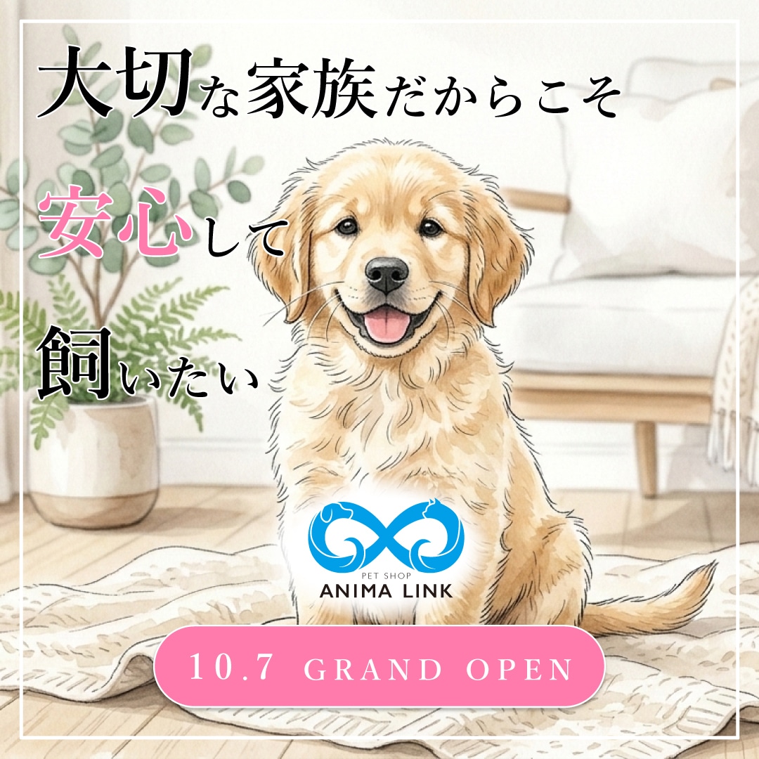 世界観のあるInstagram広告制作します 高級感・コンセプト重視、親しみやすいバナーまで幅広く対応 イメージ5