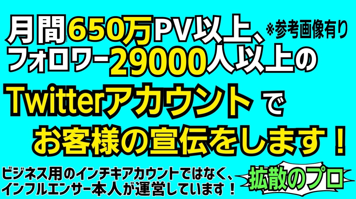 月650万PVツイッターの固定ツイートで宣伝します フォロワー4万、月間650万pvの力で強力に拡散します！ イメージ1