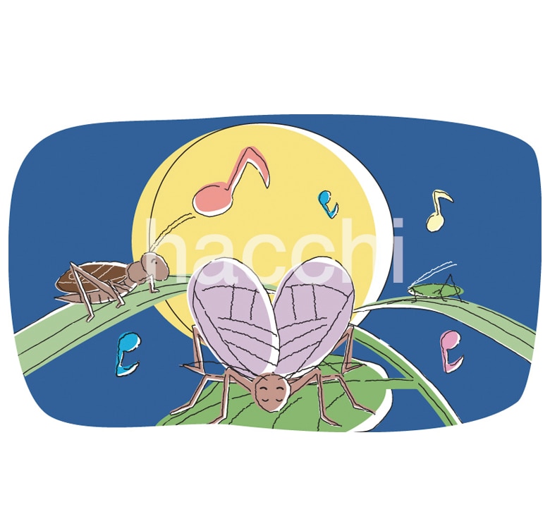 秋にもってこいのイラストを販売いたします 秋らしいイラストを3点セットでいかがですか? イメージ3