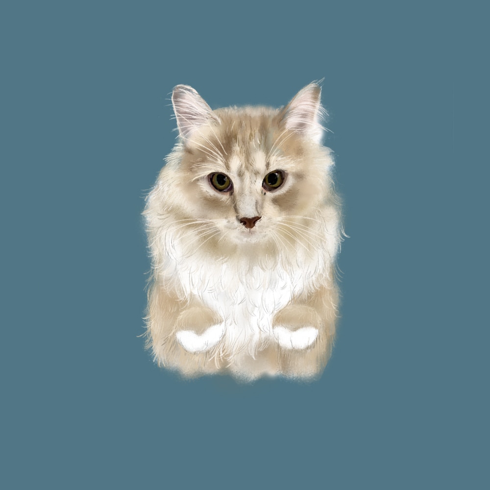 あなたのペットの似顔絵をお描きします あなたとペットの大切な思い出をイラストにしてみませんか？ イメージ3