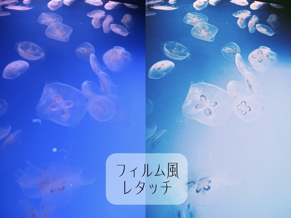 あなたの写真をフィルム風にレタッチします 商用利用可｜5枚〜お気軽にご相談ください！ イメージ1
