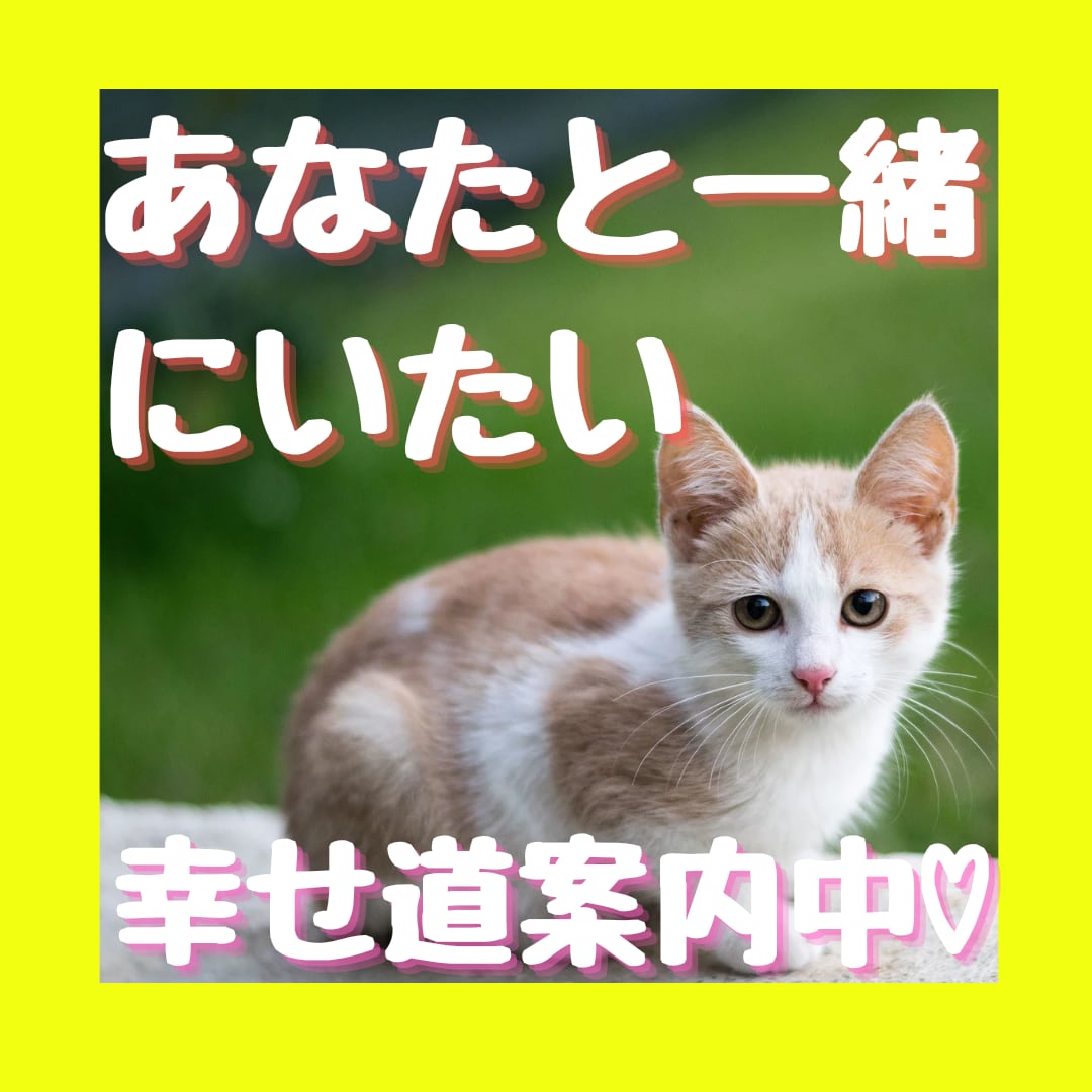彼の気持ち♡恋愛結婚♡二人の未来♡幸せ鑑定します タロットオラクル♡本心を知る♡幸せになるため前に進みましょう イメージ1
