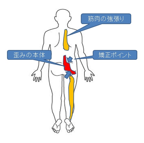てい鍼プレゼント付き！望診法通信講座を公開します 始原東洋医学を基とした、気や経絡を感知する望診の修得講座です イメージ3