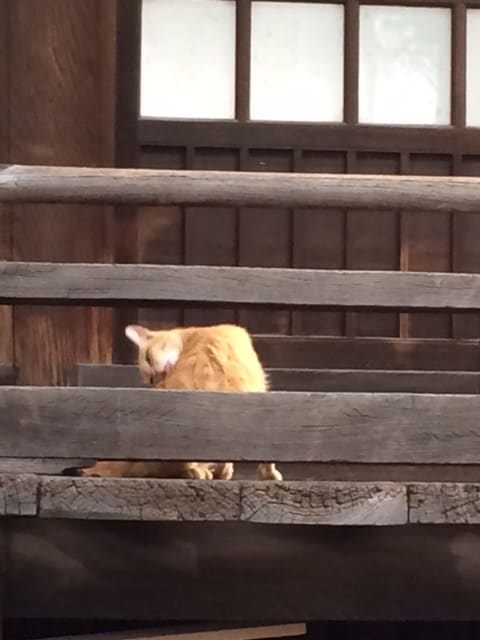 忙しいです！！　はい、ながらで出来る筋トレあります 握力・太もも・ふくらはぎの3か所強化できます イメージ3