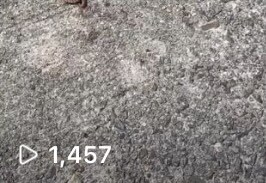 インスタのリール動画再生回数増やします インスタリール動画/世界中拡散/+3000再生以上 イメージ3