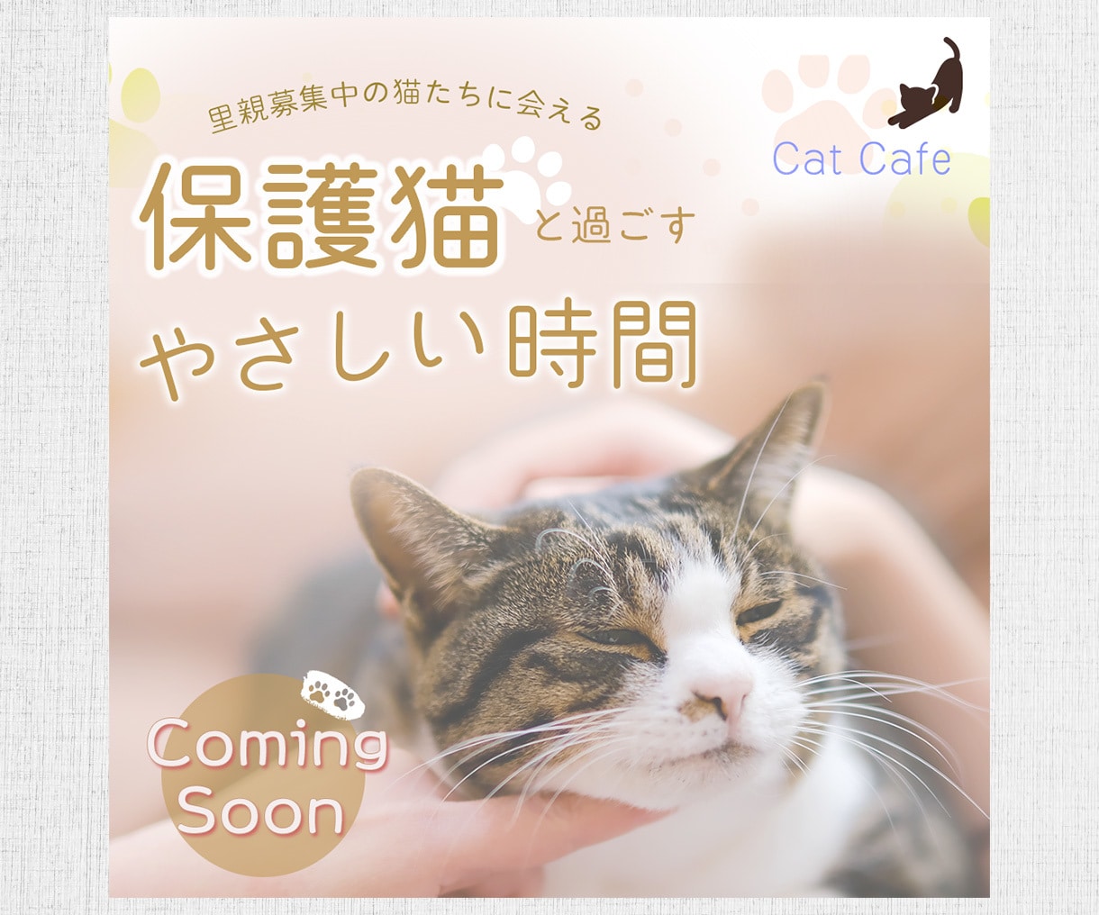 美容・EC向けバナー制作します 初めてのご依頼でも安心してご相談ください イメージ6