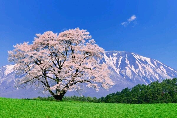 悩んでいる事を話すと心が元気になります まずは誰かに相談する事で意外な所から解決策が見つかります！ イメージ2