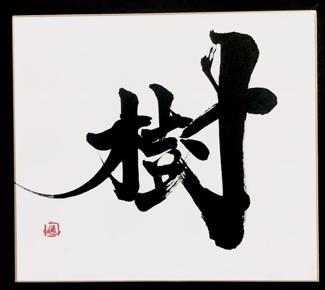 書道家が直筆で色紙にお好きな文字を描きます 筆文字、ギフト、出産祝い、命名書をお探しの方に最適です。 イメージ9