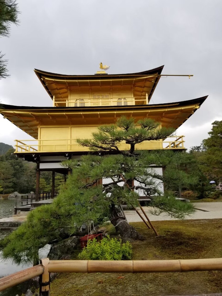 神域の門～惹かれる場所との相性を占います 神様とのご縁、そこにいる存在とのご縁 イメージ9