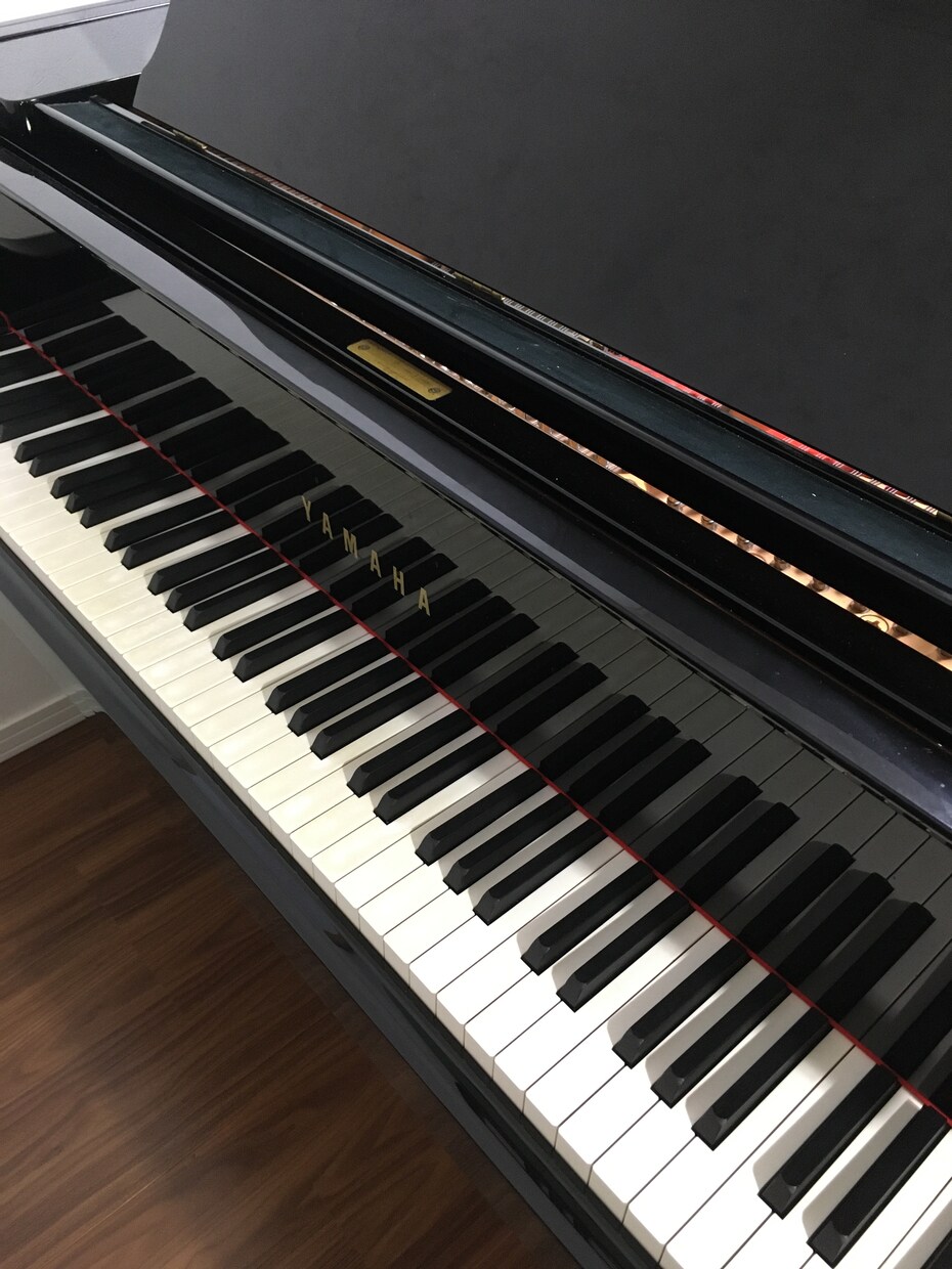 音楽大学講師が声楽のレッスンを致します 海外留学経験もあり、豊富な知識で楽しいレッスンを致します イメージ1