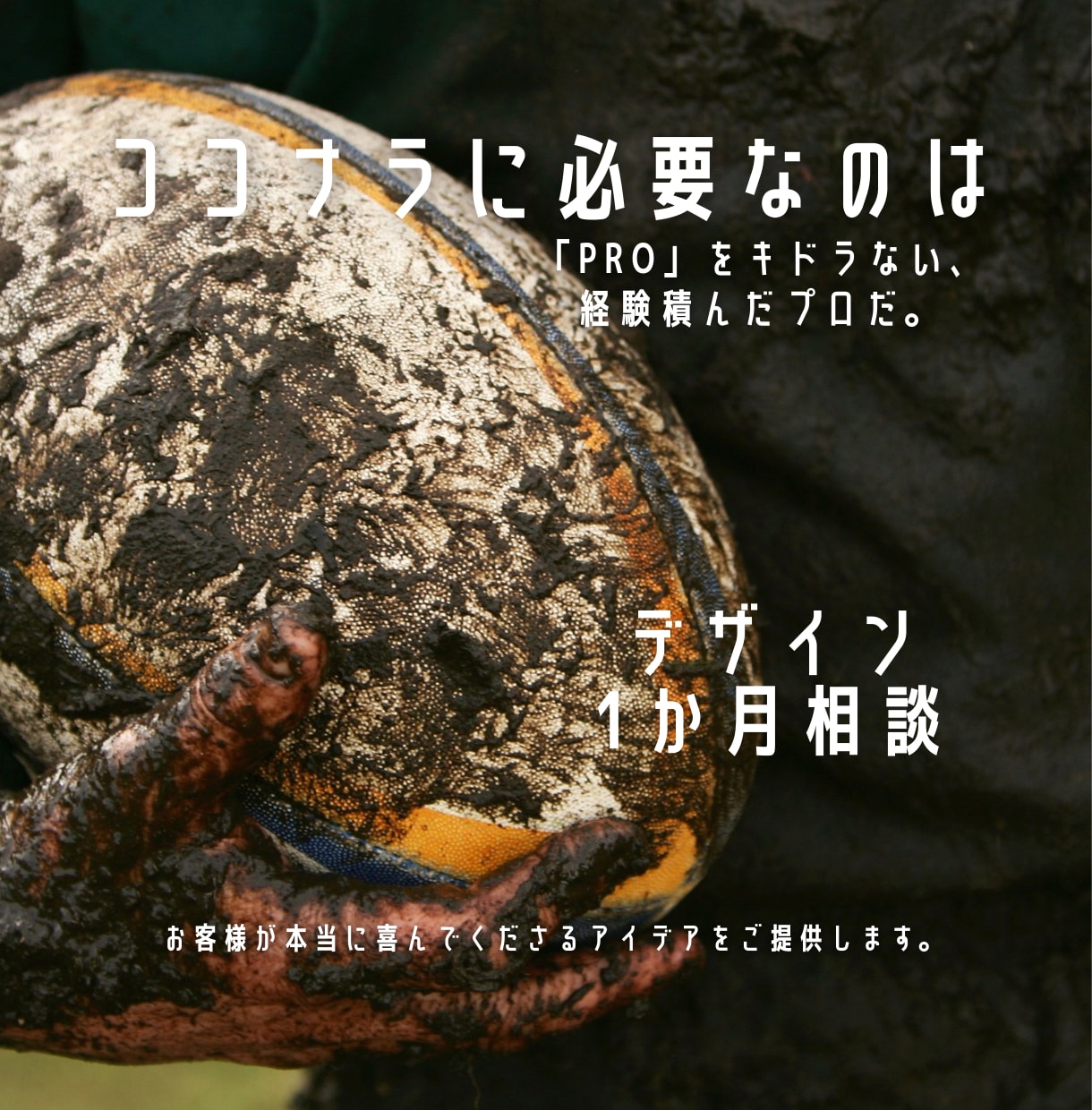 デザイン1か月コンサルティングいたします プロが必ず良い作品つくるとは限らない。本当のプロはスゴイぞ。 イメージ2