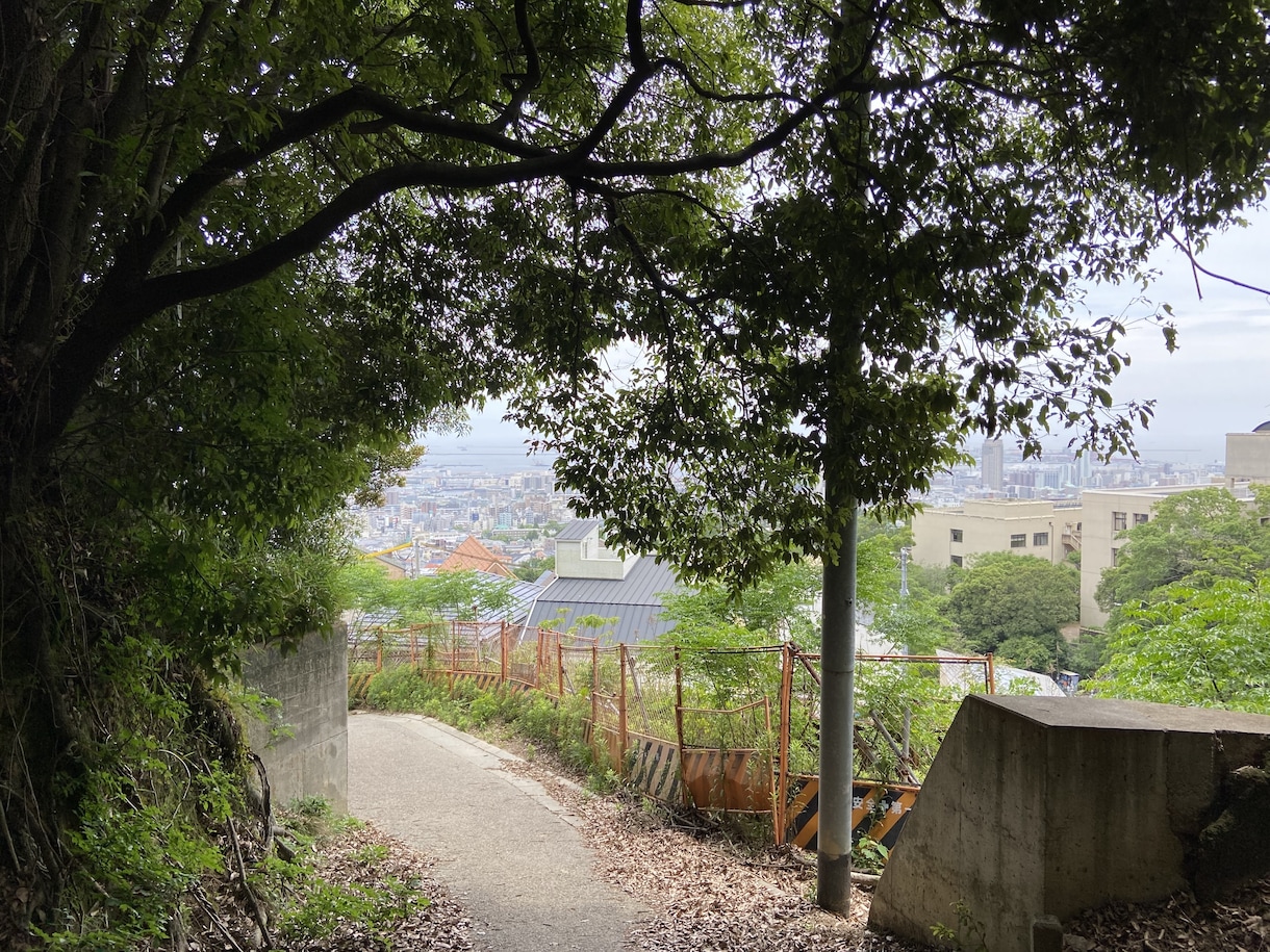神戸の街や自然、風景を撮影して写真データ送ります イラスト参考、画像素材、現況確認。リクエスト受付20点まで イメージ8