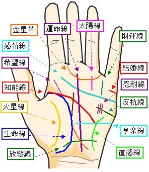 お悩み相談→手相占いで現在を把握→未来を改善します 恋愛・結婚・仕事・健康など、いまの運勢を良くしたい方へ イメージ1