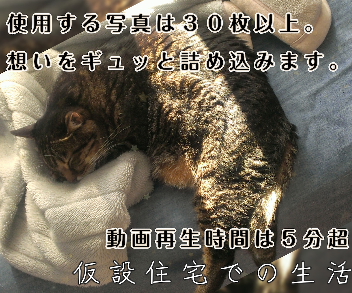 虹の橋を渡ったペット "想い出動画" つくります 「ありがとう。」　心に寄り添うナレーション。 イメージ4
