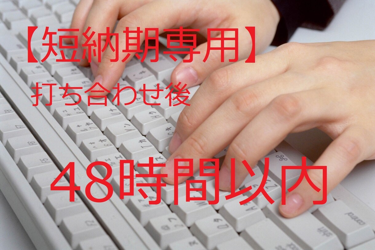 短納期専用/職務経歴書・履歴書を作成します 打ち合わせ後48時間以内に納品。元リクルート/準備なしで安心 イメージ1