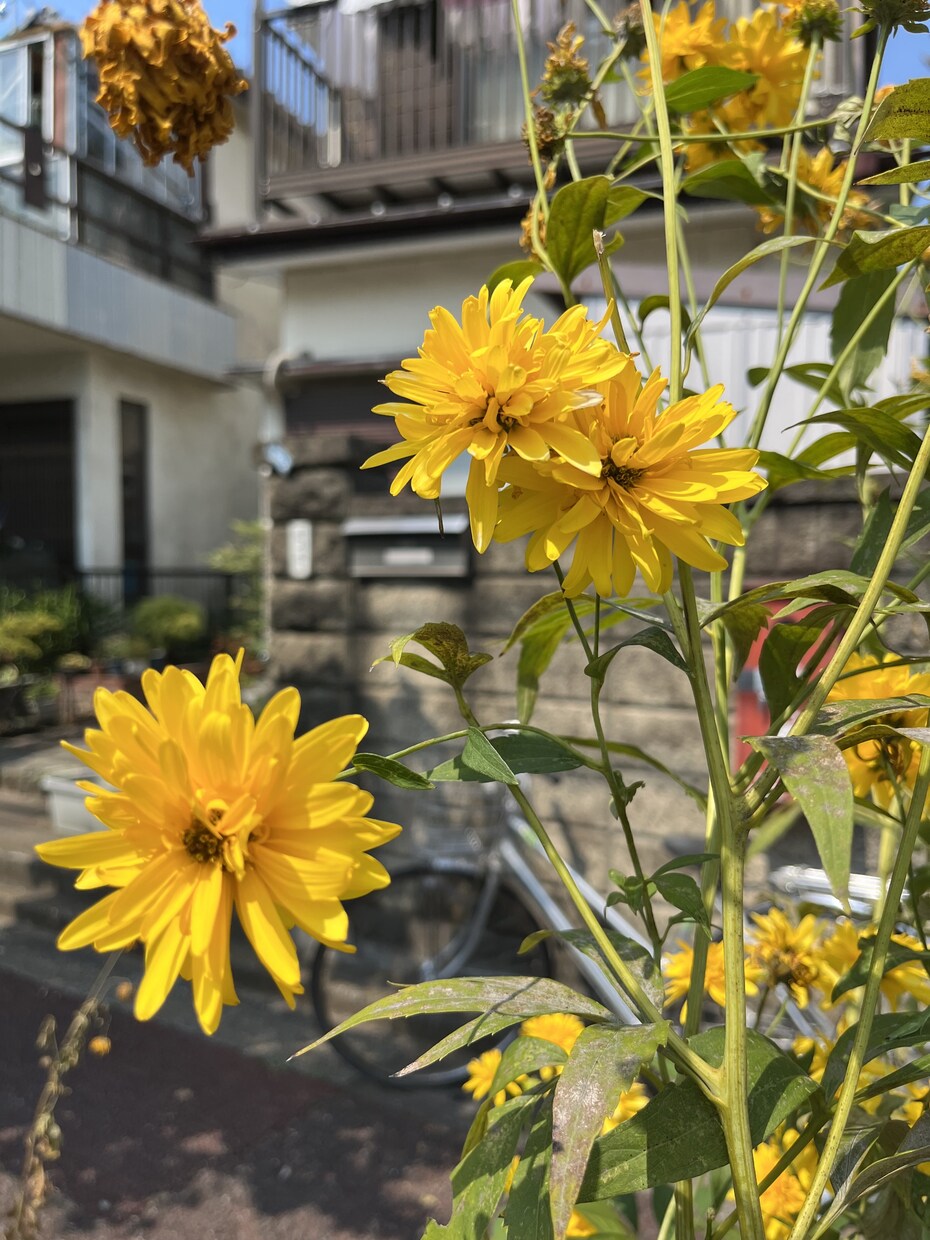 堂々巡りなあなたの心に 忖度なしの喝を贈ります 今を変えたくて自分自身と戦っている あなたの背中を押します！ イメージ4