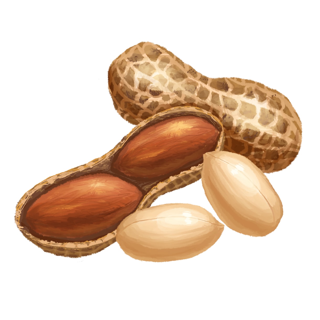 リアルで美味しそうな食べ物イラスト描きます 商用可。メニュー表、アイコンなどに。キャラクター追加も。 イメージ9