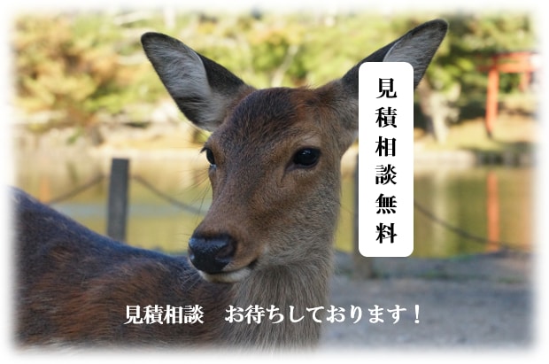 納得のできる離婚協議書の作成をサポートいたします 作成経験豊富な行政書士が公正証書化を前提にお作りします！ イメージ3