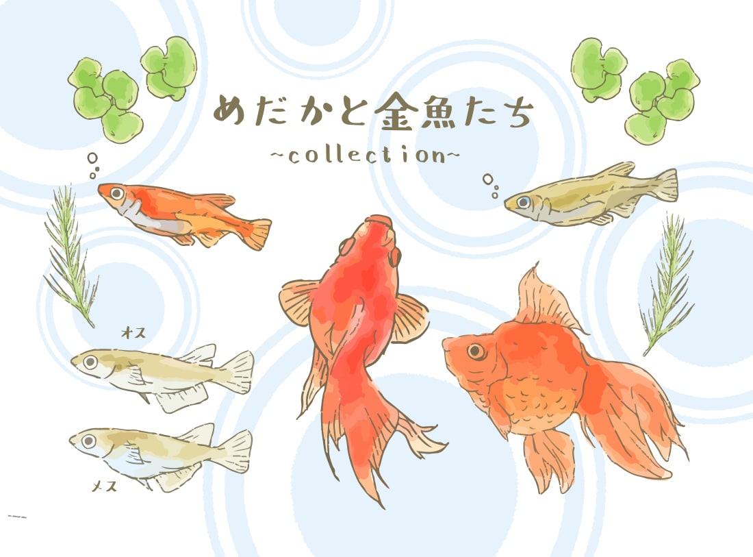 書籍・雑誌など優しい挿絵イラストをご提案いたします 商用OK！ビジネスシーンなどわかりやすく伝わるイラストを！ イメージ9