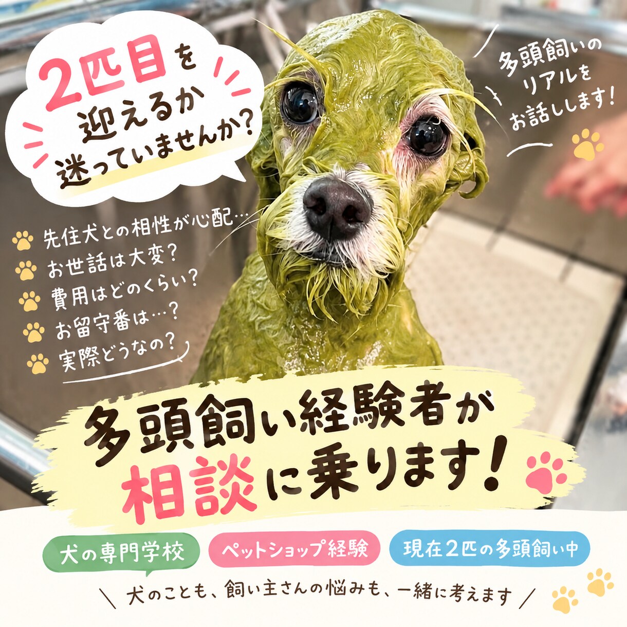 多頭飼いって実際どう？リアルな経験談相談乗ります 犬2匹との暮らし、良いことも大変なこともリアルにお話しします イメージ1