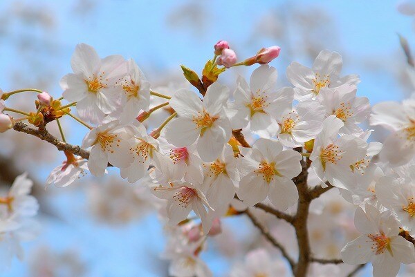 人に言えない恋愛❤️　秘密厳守で傾聴致します 酸いも甘いも経験した関西のオッちゃんが親身にお話し聞きます。 イメージ5