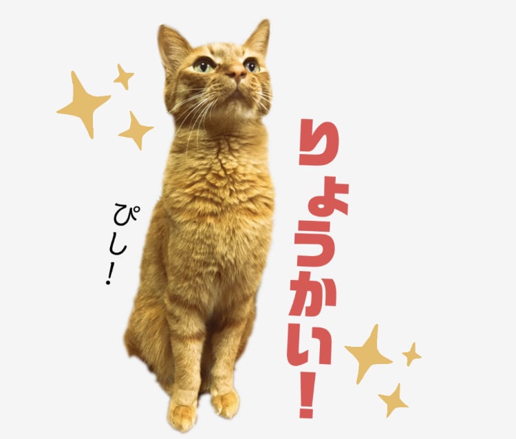 保護ペットの可愛い♡LINEスタンプ♡つくります 【こちらは保護犬・保護猫ちゃんの飼い主様ページです】 イメージ3