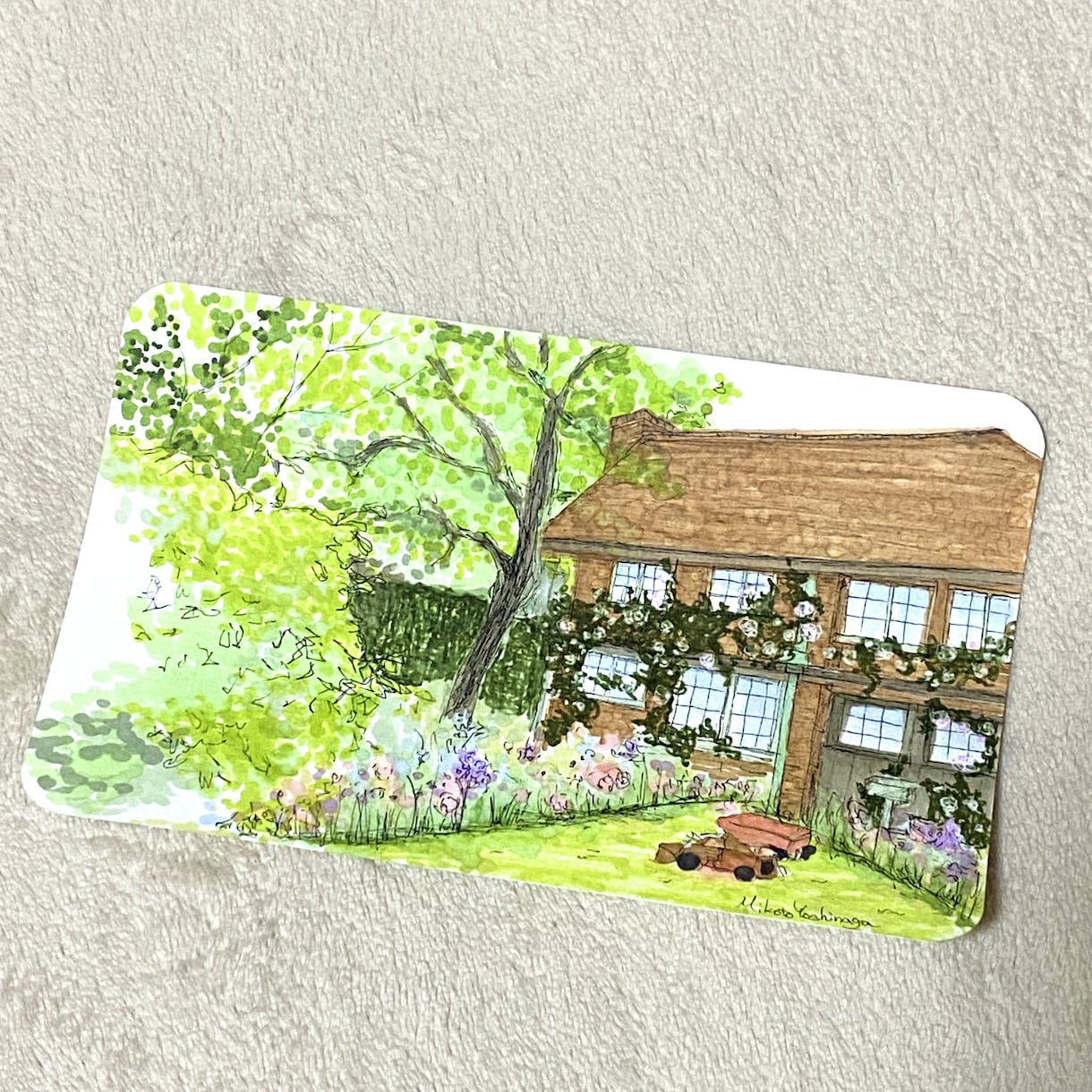 ほっこりしたポストカード描きます 【味のある植物の絵描きます】より手頃なサービスが欲しい方へ イメージ2