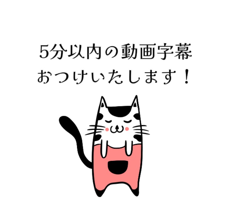 5分以内の動画(3本まで！)に字幕入れます 登録したてなので安くて早いを心がけます！ イメージ1