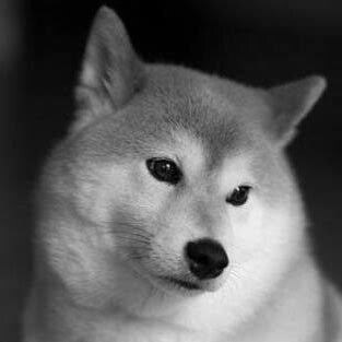 心に響く名言、格言あげます 辛い時や挫けそうな時に、ちょっとした言葉で人生は大きく変わる イメージ1