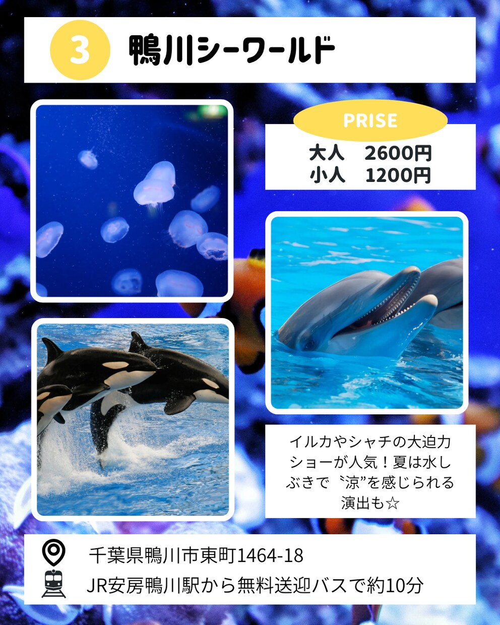 Instagram投稿画像作成します ★修正回数無制限★ターゲットにささる画像お任せください！ イメージ8