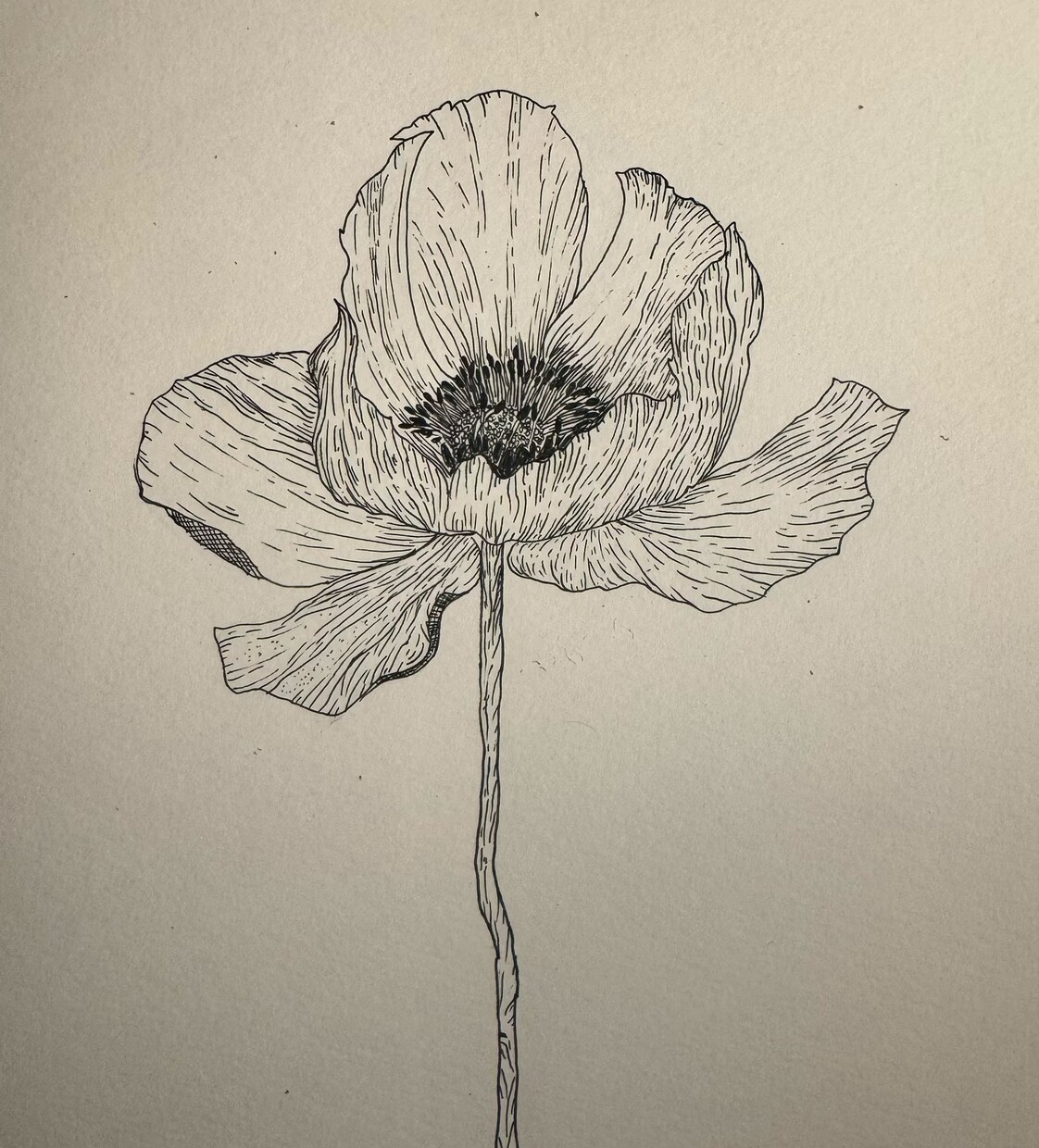 花をテーマにした繊細な絵を作ります 日常にそっと彩りを添える、花のアート イメージ7