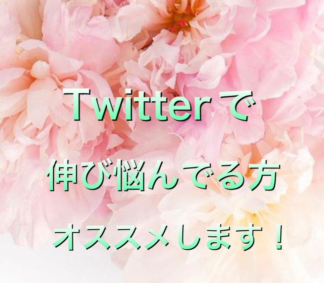 Twitterで伸び悩んでる方にご紹介します Twitterのノウハウあります！ イメージ1