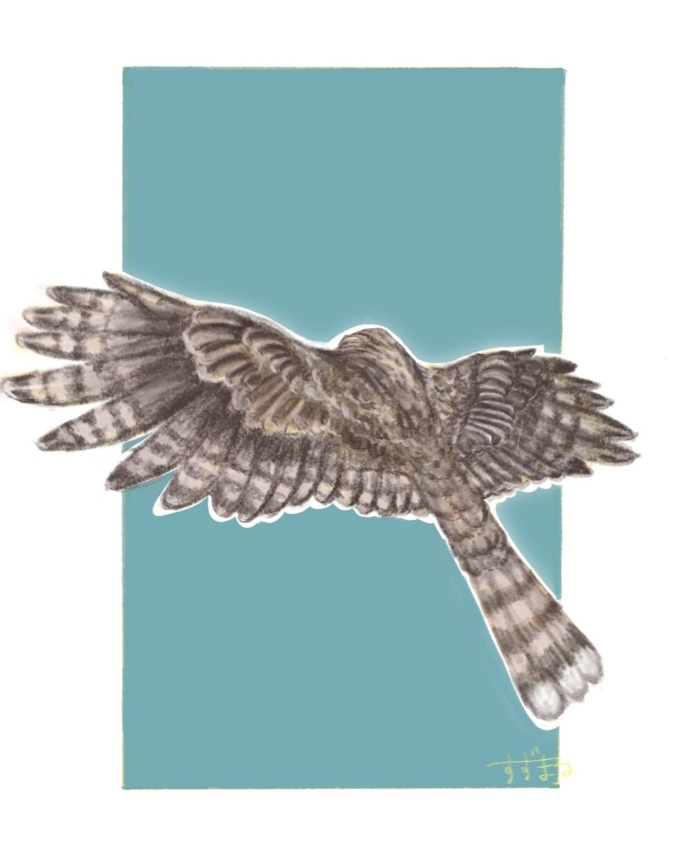 商用OK！鳥専門♪色鉛筆の風合いで可愛く描きます 柔らかなタッチと淡い色で癒しを♪心和む一枚を描きます♪ イメージ7