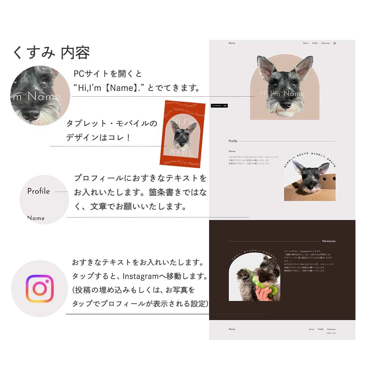 犬用のデジタル名刺付！うちの子HPを制作します 【くすみ】わんこのHP　維持費0円のStudioで制作 イメージ6