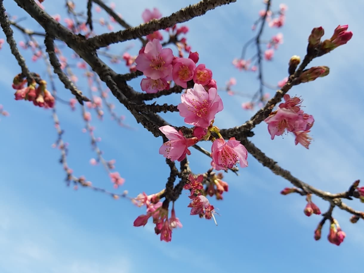 企業の吉祥名を付けます ちょっと待って！企業名で社運の運気は変わります。 イメージ2