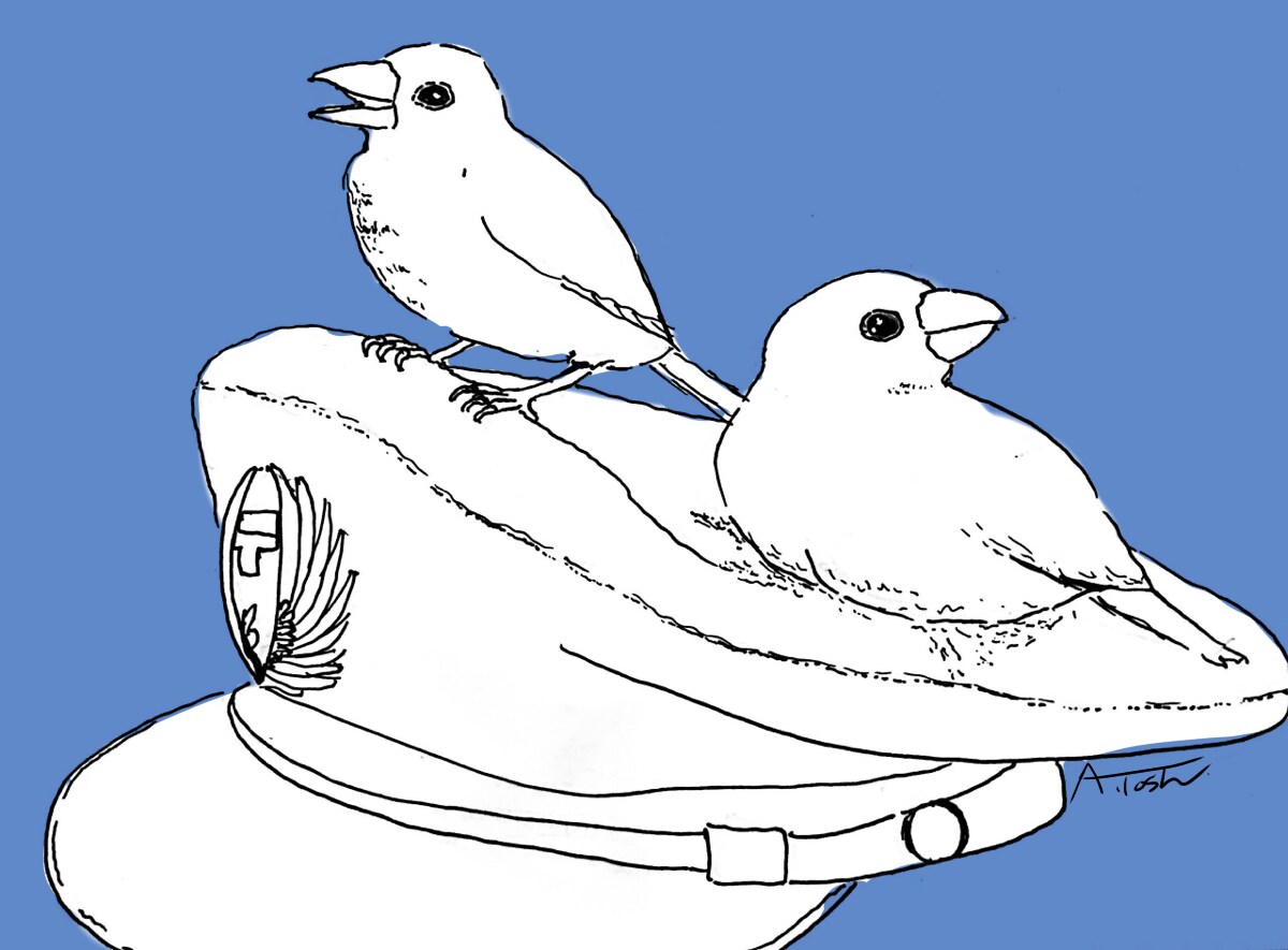 シンプルなペットイラスト描きます 動物達との思い出を切り取る手描きイラストはいかがですか？ イメージ4