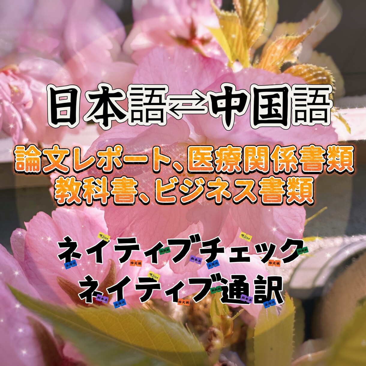 日本在住12年の研究者が日本語⇆中国語通訳致します 中国語⇆日本語、論文、教科書、レポート、書類（医療関係可能） イメージ1