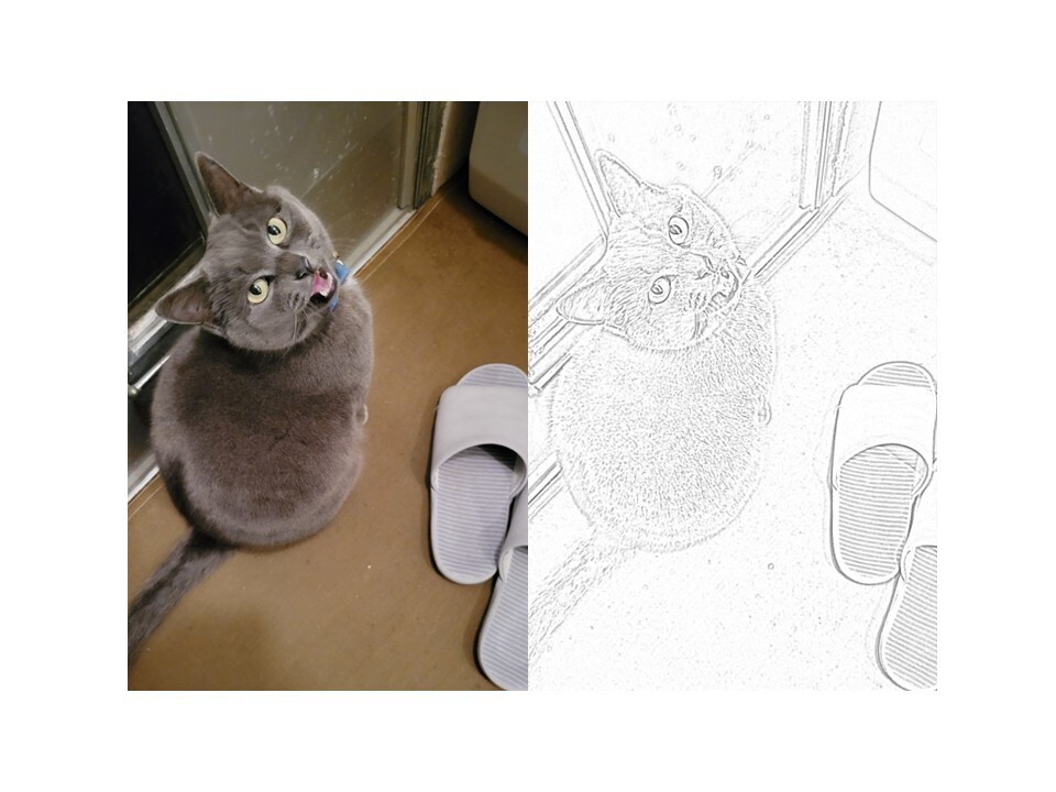 画像や写真の編集を承ります 写真をイラストに！画像をもとに塗り絵作成！白黒写真をカラーに イメージ3