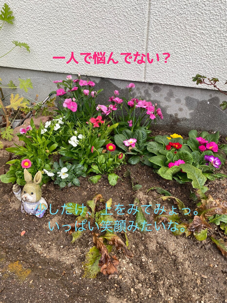 一緒に考え、寄り添います 一人で悩まないでほしいです。一緒に笑ったり泣いたりしましょ イメージ3