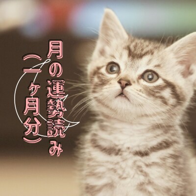 1ヶ月分の運勢を占います カードを使って月の運勢を先読み。 イメージ1