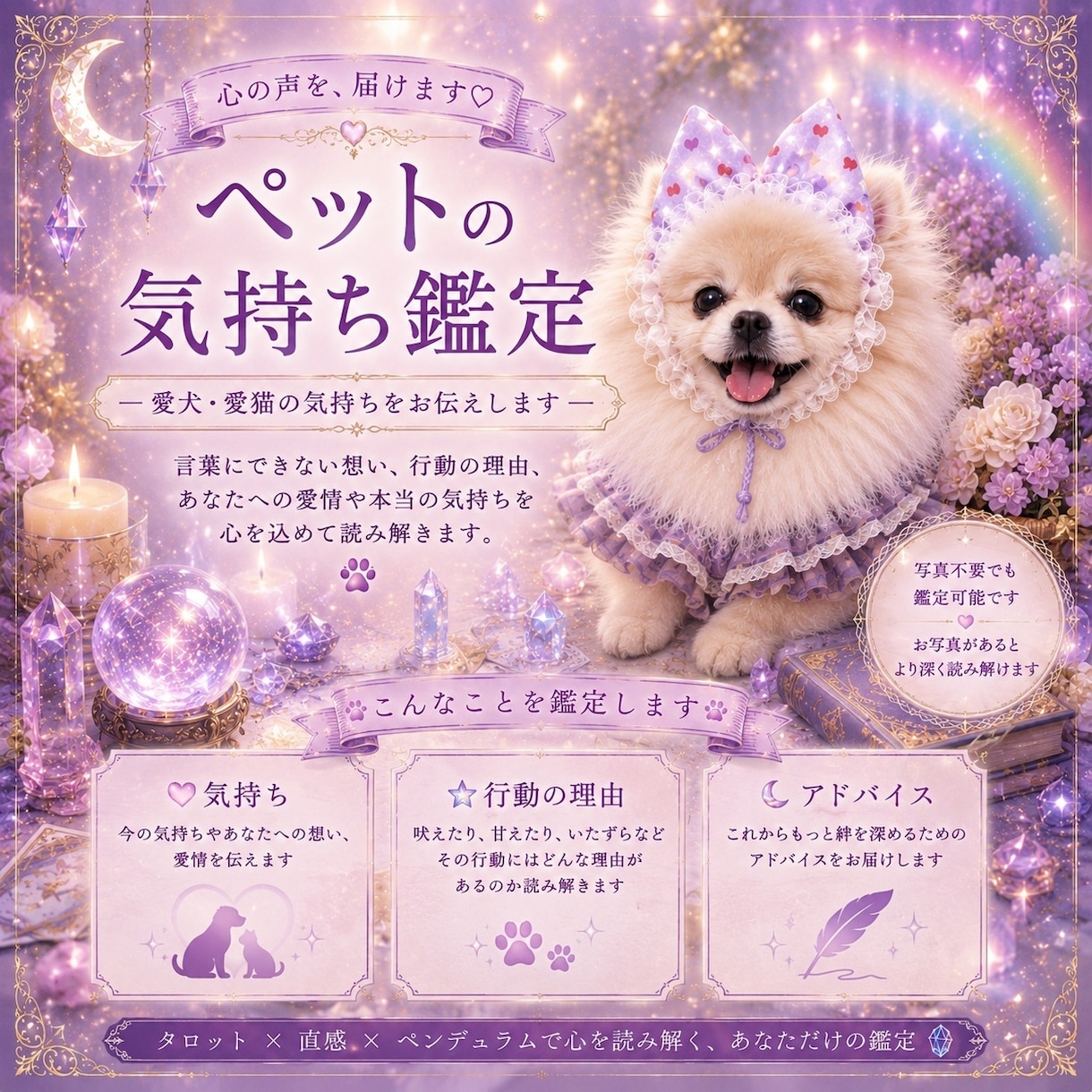 愛犬・愛猫の気持ちを霊聴で視ます うちの子の本当の気持ち、聴かせてもらいます イメージ1