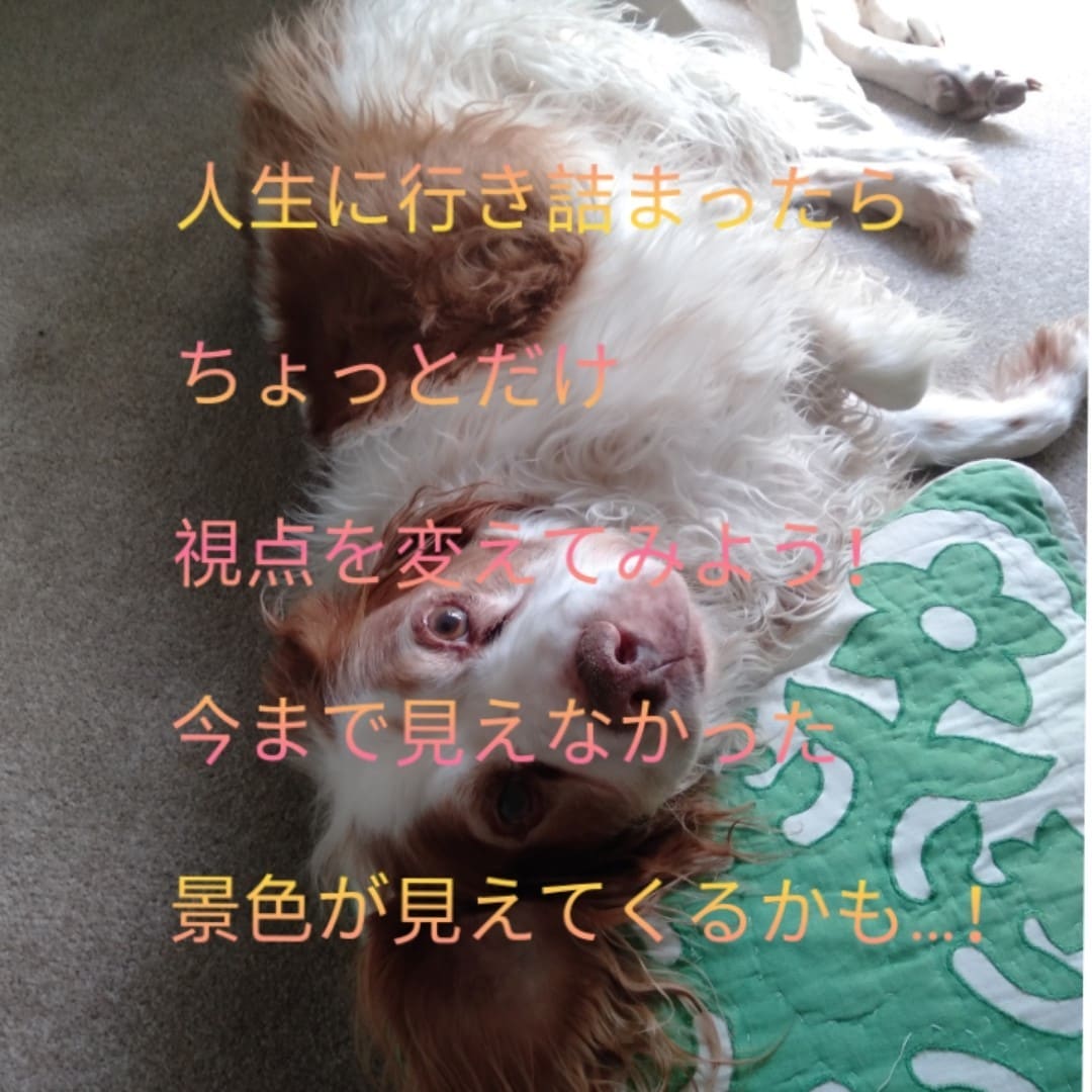 心の曇り空、意識改善、人生迷子等のお手伝いします 思考方を少し変えるだけで、今までとは違う景色が見え始めます！ イメージ2