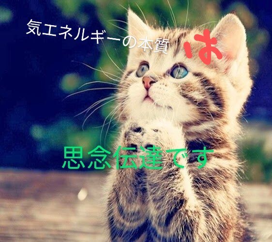気の本質は感情へのアプローチ。実践法を教えます 人はひとりひとつの宇宙を生き、意識により世界を創造してます イメージ3