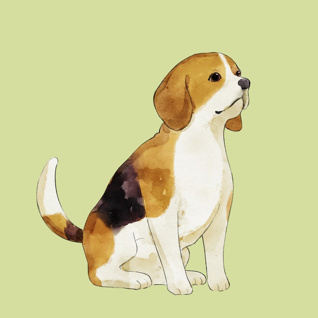 水彩画風のリアルな動物イラスト作成します ぬくもりを感じる、柔らかな動物イラスト イメージ1