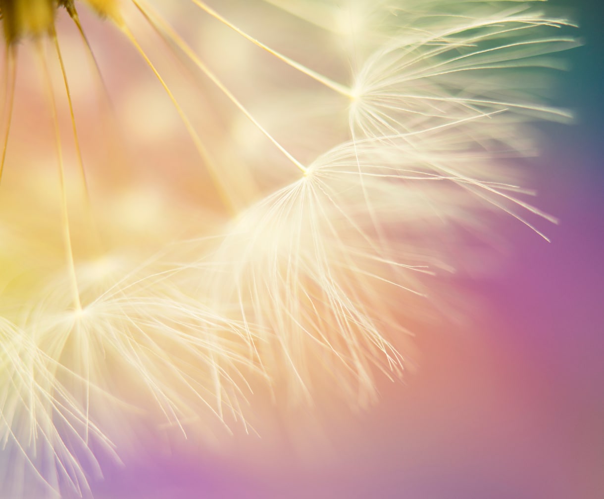 苦手な相手から魂を守り、自分を取り戻します 削り取られた自分のマブイを回収し、「心の境界線」を築きます。 イメージ7