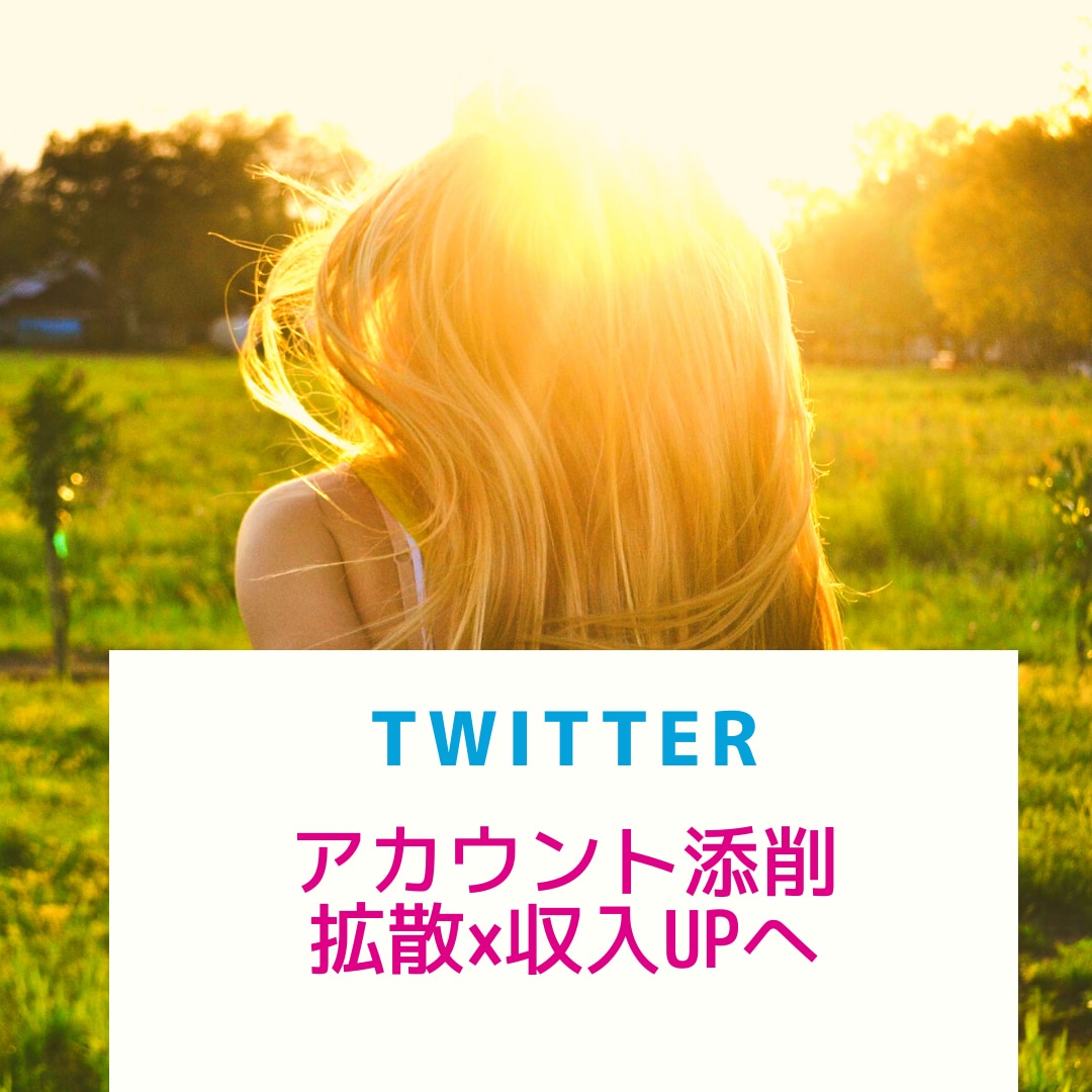 ツイッター集客＆収入UPのコンサルします 4500万ユーザーへ販売導線構築から収益へお繋ぎ拡散!! イメージ1