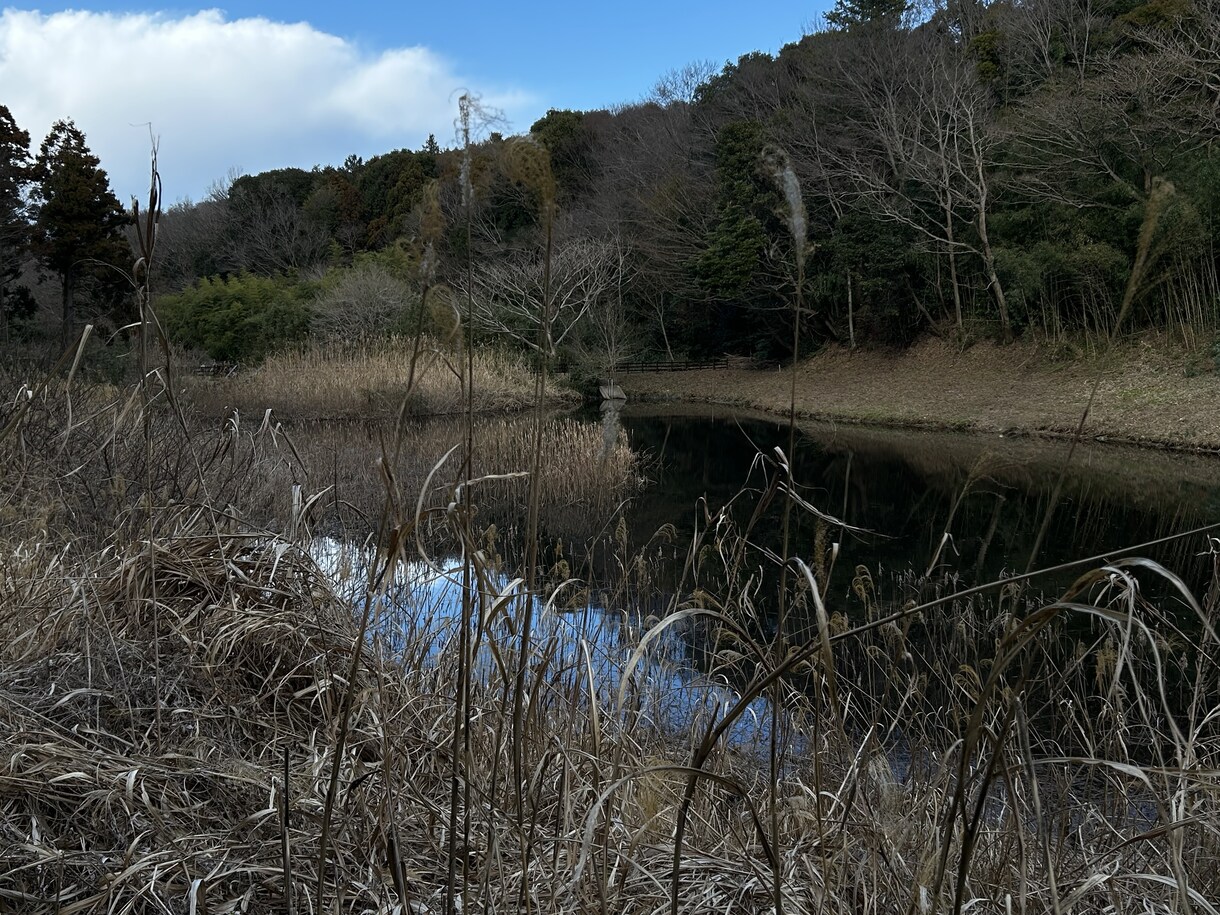 ラーメンの写真や景色の写真などを提供できます 美味しそうなラーメンの写真や綺麗な景色の提供 イメージ3