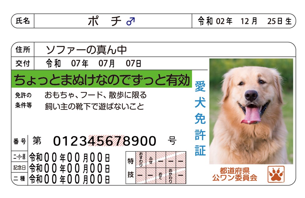 ペット免許証を最短3日で制作します 自社印刷だから安心＆スピード納品可能！ イメージ3